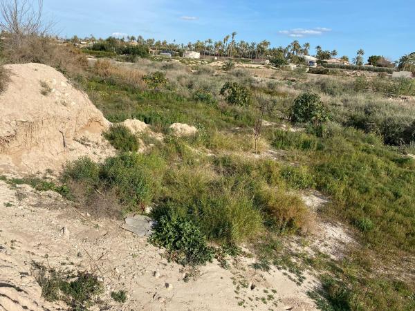 Terreno en Partida Algorós, Algoda-Matola-Llano de San José, Elche / Elx photo 1