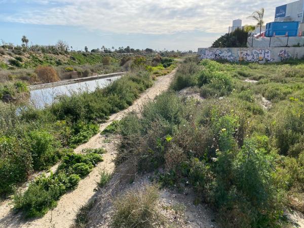 Terreno en Partida Algorós, Algoda-Matola-Llano de San José, Elche / Elx photo 3