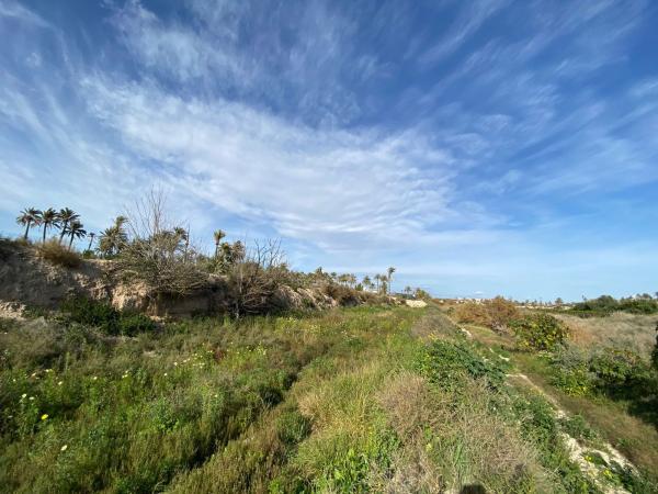 Terreno en Partida Algorós, Algoda-Matola-Llano de San José, Elche / Elx photo 4