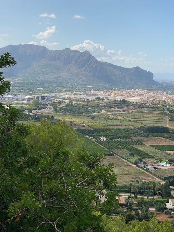 Działka na sprzedaż w Pedreguer, Alicante photo 3