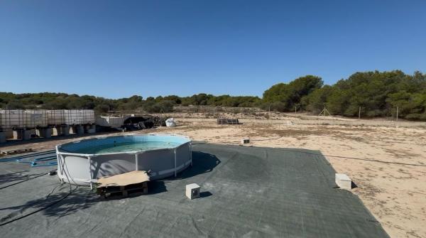 Terreno en Camino La Escuera, La Marina, Elche / Elx photo 1