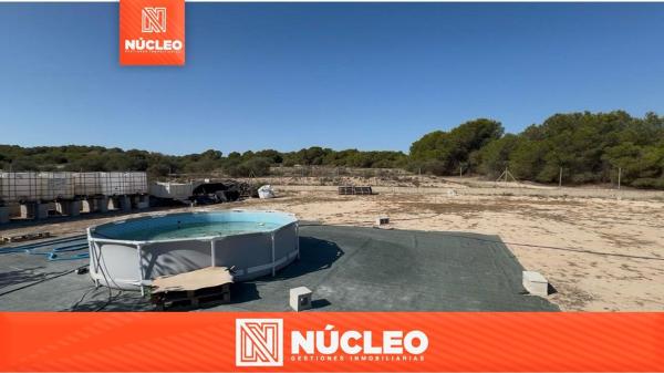 Terreno en Camino La Escuera, La Marina, Elche / Elx photo 2