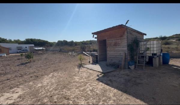Terreno en Camino La Escuera, La Marina, Elche / Elx photo 3