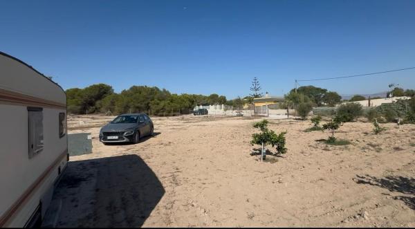 Terreno en Camino La Escuera, La Marina, Elche / Elx photo 4