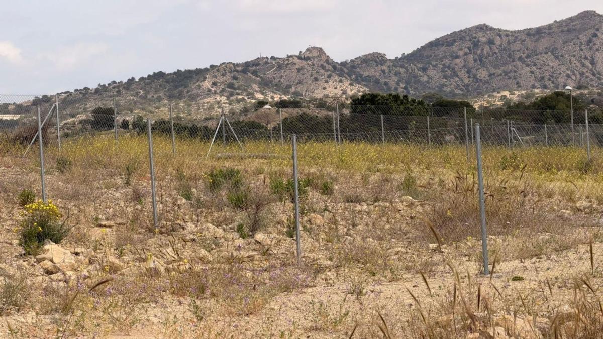 Terreno en venta en Monforte del Cid, Alicante photo 4