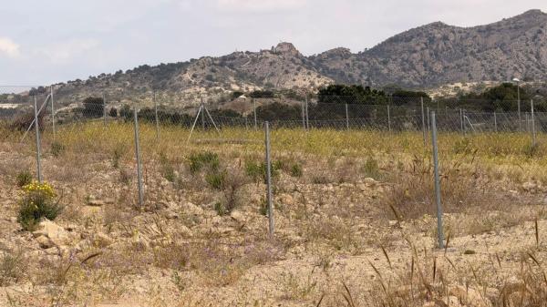 Terreno en Monforte del Cid photo 4