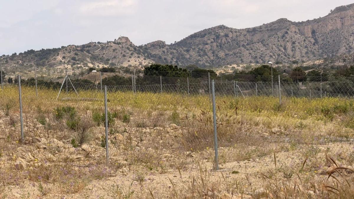 Terreno en venta en Monforte del Cid, Alicante photo 5