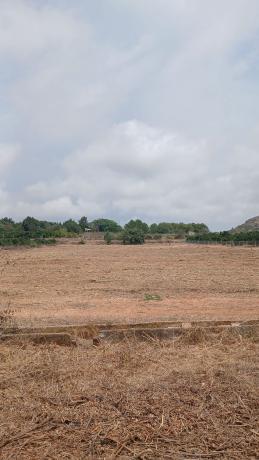 Terreno en Camino de L'Advocat, La Xara - La Sella - Jesús Pobre, Denia photo 4