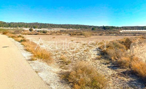 Terreno en Poligono 15, Monforte del Cid thumbnail 2