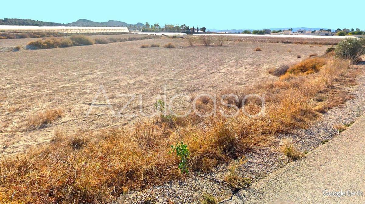 Terreno en venta en Monforte del Cid, Alicante photo 5