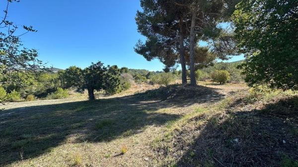 Terreno en Camino Tarraula, La Lluca - La Tarraula, Jávea/Xàbia thumbnail 1