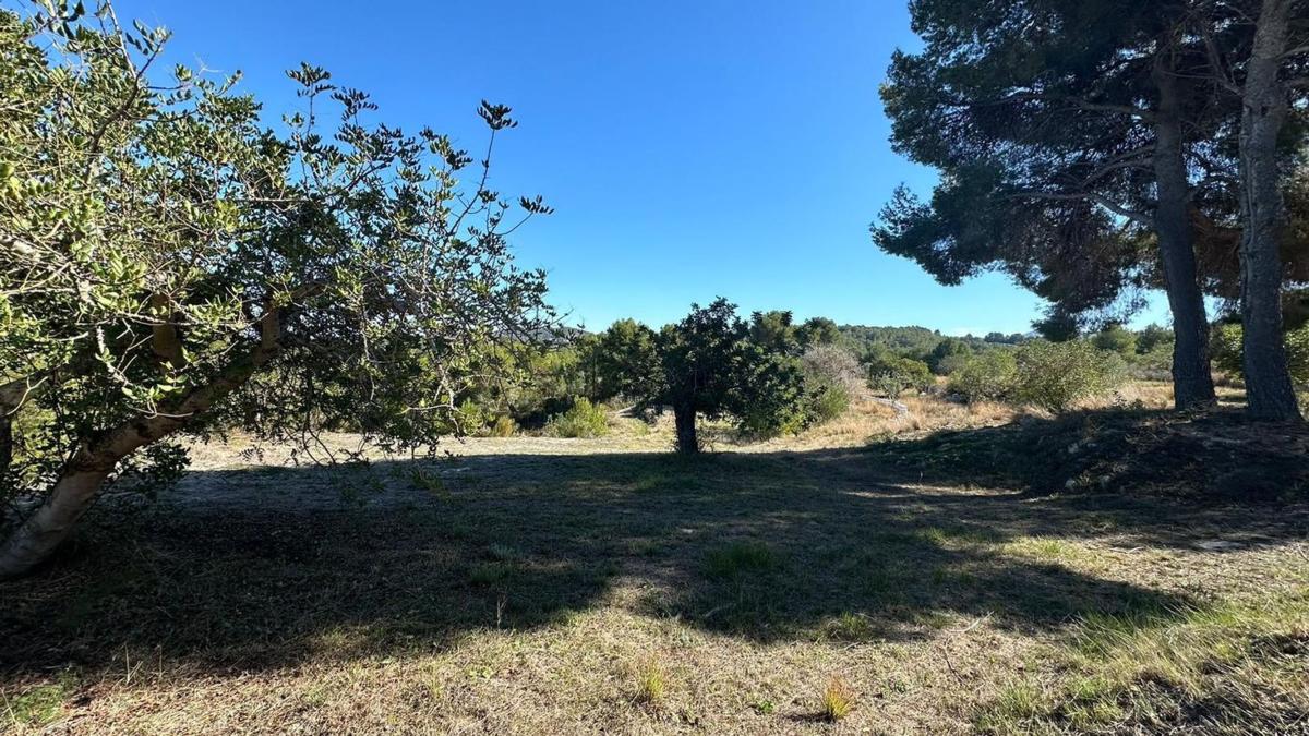 Terreno en venta en Jávea/Xàbia, Alicante photo 3
