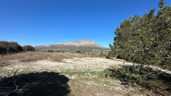 Terreno en Camino Tarraula, La Lluca - La Tarraula, Jávea/Xàbia photo 4