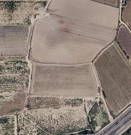 Terreno en Ramón y Cajal, 4, Monforte del Cid photo 1