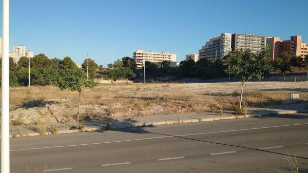 Terreno en Sector, Sección 28, Las Azaleas - Alkadir, La Villajoyosa / Vila Joiosa photo 4