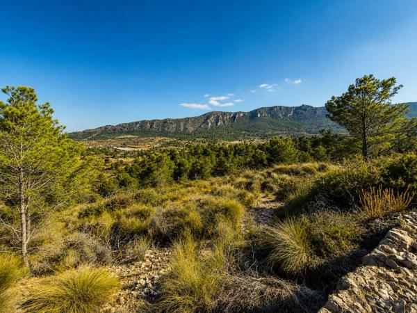 Terreno en El Algayat, La Romana thumbnail 2