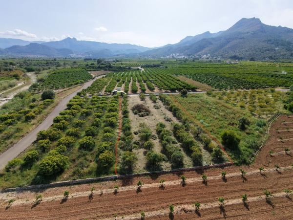Terreno en Camino Pinar, 69, Tormos photo 1