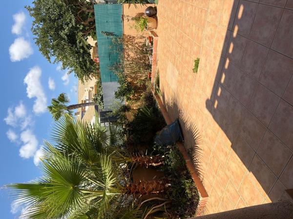 Terraced house for sale at  Chalet adosado en Calle Mar Rojo, 15, Torre de la Horadada, Pilar de la Horadada , Pilar de la Horadada photo 3