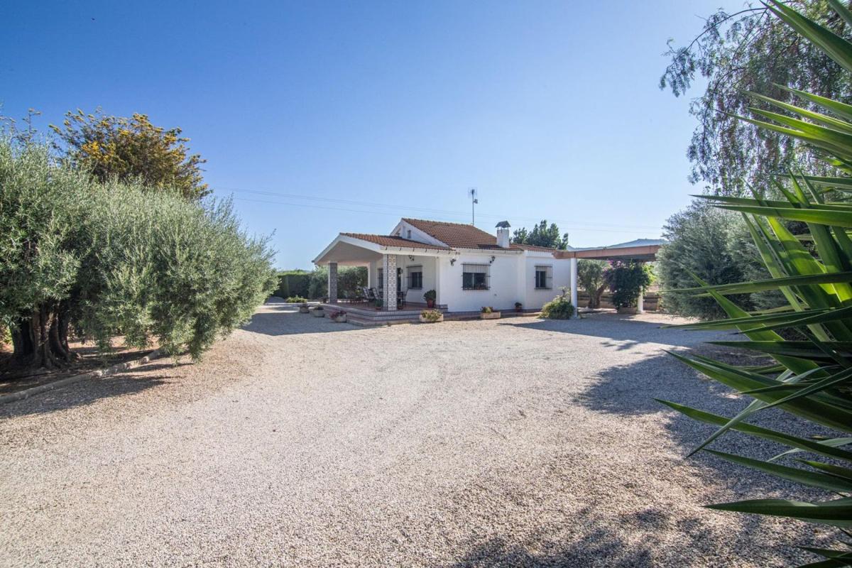 Sale of independent chalet in Casa o chalet independiente en Partida Horna Baja, 16, Novelda, Novelda
 photo 5