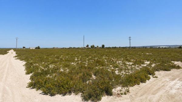 Terreno en Partida Hoya, La Hoya-Daimes-El Derramador, Elche / Elx thumbnail 1