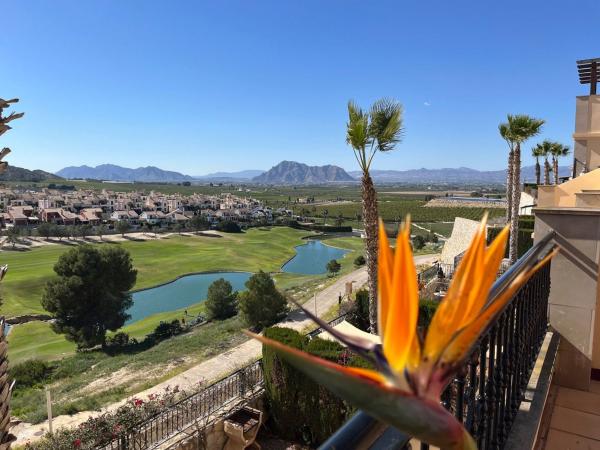 Venta de piso en Piso en Calle Alicante, 33, Algorfa, Algorfa
photo 1