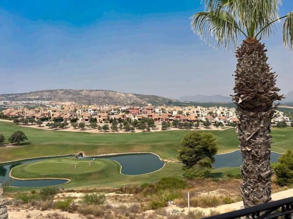 Venta de piso en Piso en Calle Alicante, 33, Algorfa, Algorfa
thumbnail 1