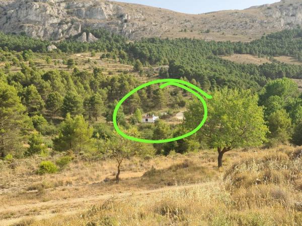 Finca rustykalna na sprzedaż w Finca rústica en Finestrat Pueblo, Finestrat , Finestrat thumbnail 1