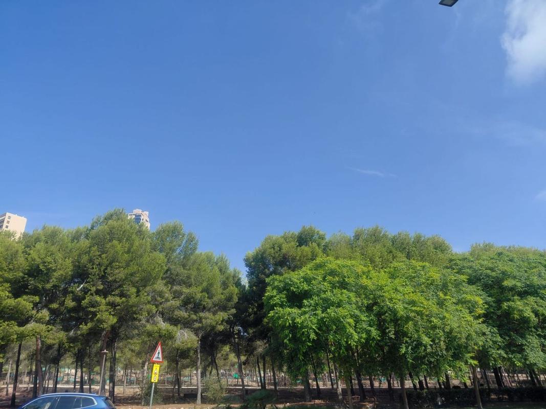 Sprzedaż mieszkania w Piso en Avenida de la Comunitat Valenciana, Pueblo Levante, Benidorm, Benidorm
 photo 3