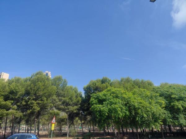 Продажа квартиры на Piso en Avenida de la Comunitat Valenciana, Pueblo Levante, Benidorm, Бенидорм
thumbnail 3