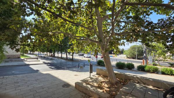 Venta de piso en Piso en Calle Doctor Claramunt, 9, Virgen del Remedio - Parque lo Morant, Alicante / Alacant, Alicante / Alacant
thumbnail 2