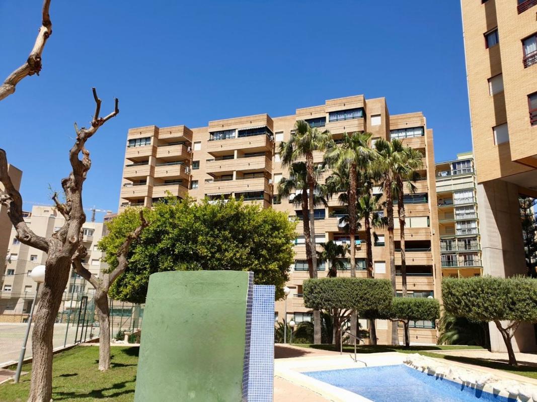 Venta de piso en Piso en Playa de Poniente, Benidorm, Benidorm
photo 1
