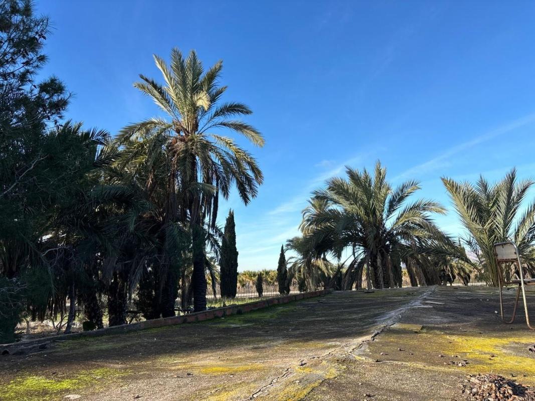 Sprzedaż działki rolnej w  Finca rústica en Algoda-Matola-Llano de San José, Elche / Elx , Elche / Elx photo 3