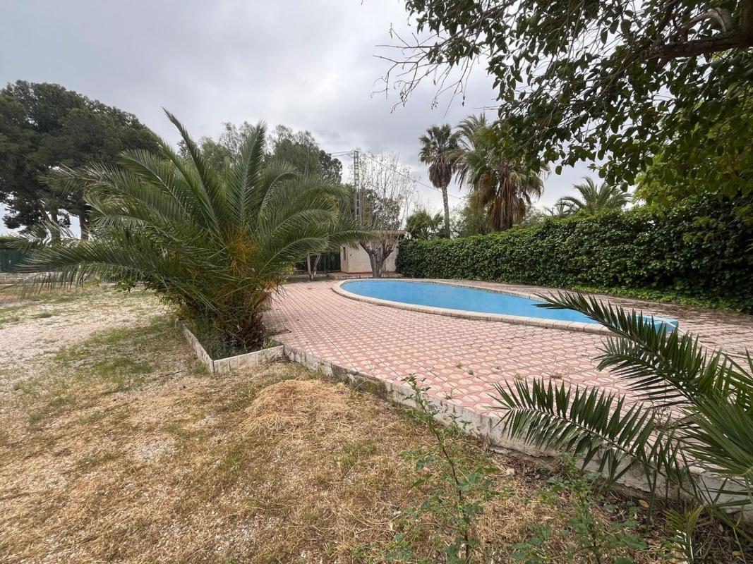 Sale of independent chalet in Casa o chalet independiente en Paraje El Pla, 26, Novelda, Novelda
photo 2