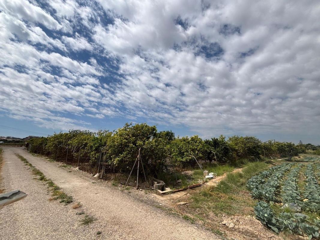 Sprzedaż działki rolnej w Finca rústica en Zona Pueblo, Guardamar del Segura , Guardamar del Segura photo 1