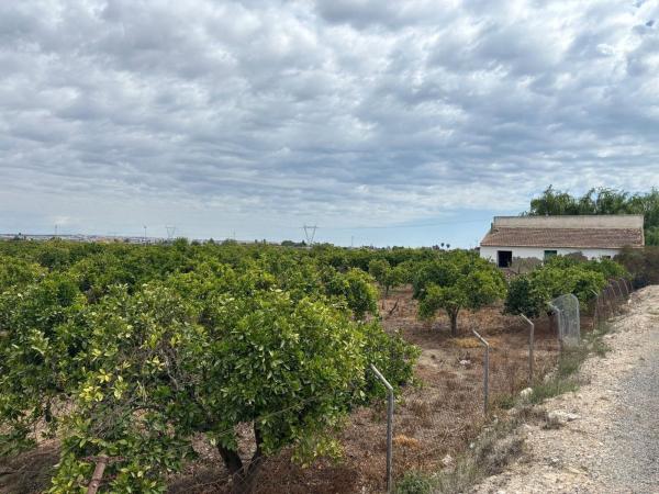 Продаётся загородный участок в Finca rústica en Zona Pueblo, Guardamar del Segura , Гуардамар-дель-Сегура thumbnail 1