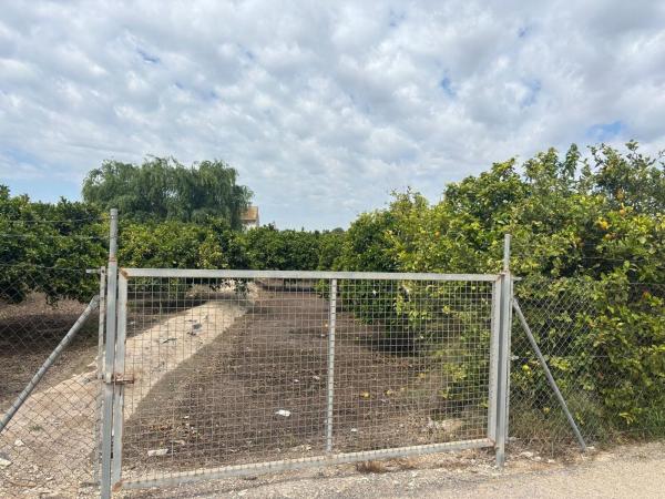 Продаётся загородный участок в  Finca rústica en Zona Pueblo, Guardamar del Segura , Гуардамар-дель-Сегура photo 4