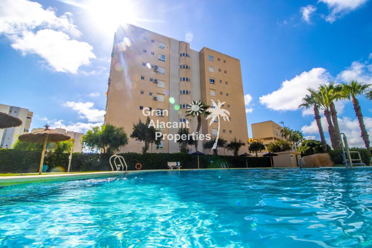 Venta de piso en Piso en Calle Músico José Mira Figueroa, El Palmeral-Urbanova-Tabarca, Alicante / Alacant, Alicante / Alacant
photo 1