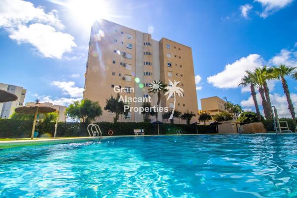 Sale of flat in Piso en Calle Músico José Mira Figueroa, El Palmeral-Urbanova-Tabarca, Alicante / Alacant, Alicante
 photo 1