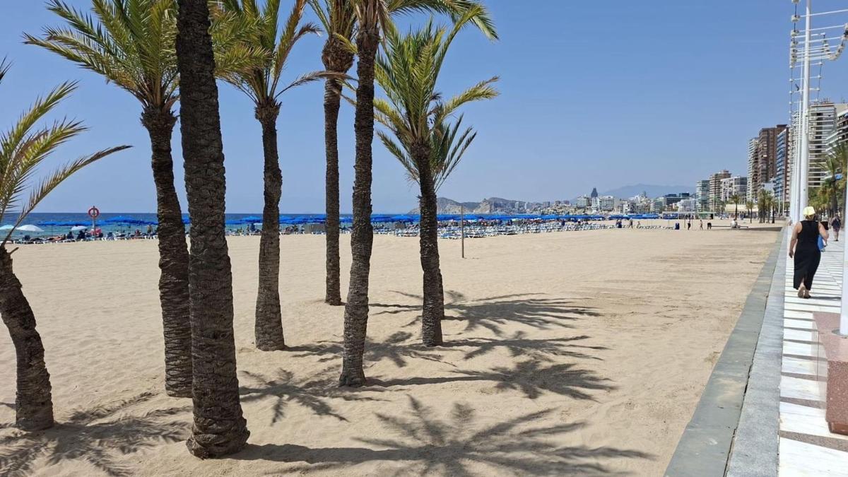 Sprzedaż mieszkania w Piso en Playa de Levante, Benidorm, Benidorm
photo 1