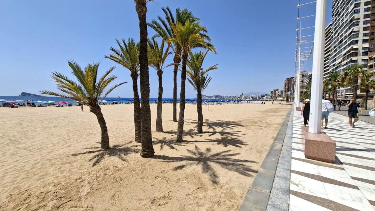 Sprzedaż mieszkania w Piso en Playa de Levante, Benidorm, Benidorm
photo 3