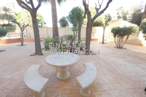 Sale of flat in Piso en PAU 5, Alicante / Alacant, Alicante
thumbnail 3