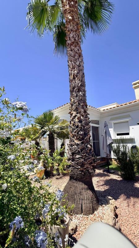 Продажа отдельного шале в Casa o chalet independiente en Ppy, 354, Hondón de las Nieves, Хондон-де-лас-Ньевес photo 5