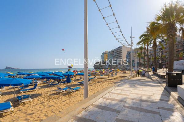 Venta de piso en Piso en Avenida Mare de Déu del Sofrat, Puerto, Benidorm, Benidorm
thumbnail 3