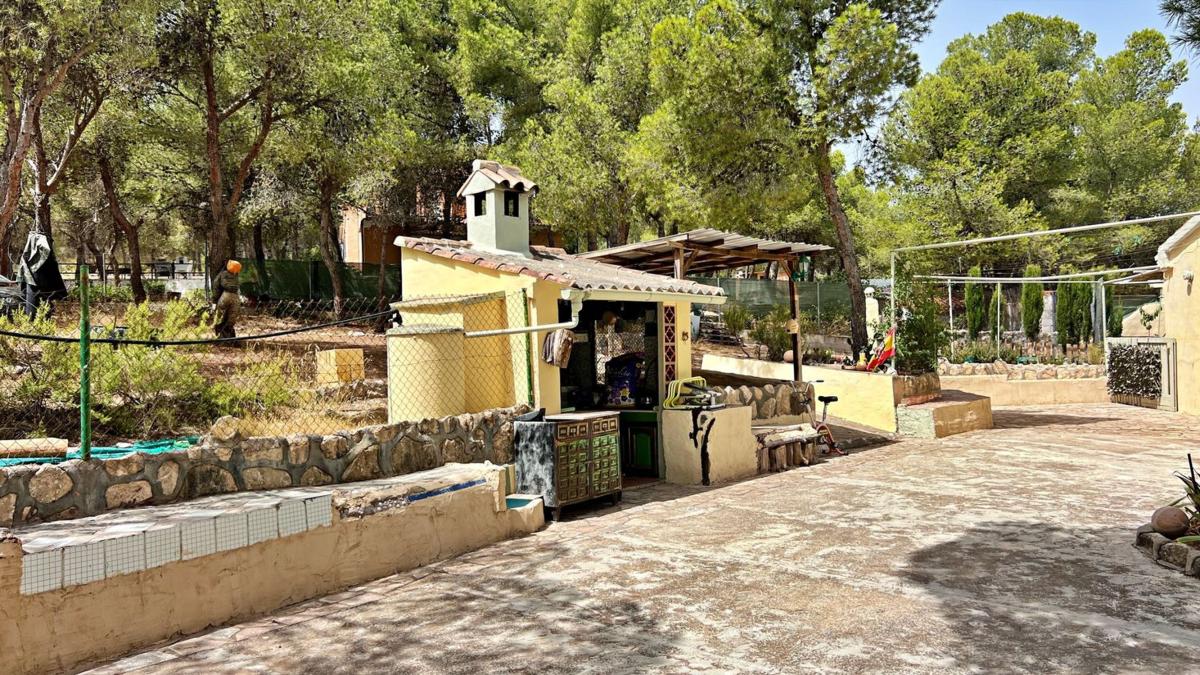 Sale of rural property in Finca rústica en Lugar III Pd 4, 2512, Castalla , Castalla photo 5