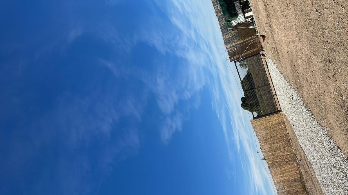 Terreno en venta en Elche / Elx, Alicante photo 2