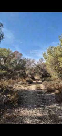 Terreno en Calle Comunidad Castellano-Leonesa, 4, Zona Pueblo, Pilar de la Horadada thumbnail 2