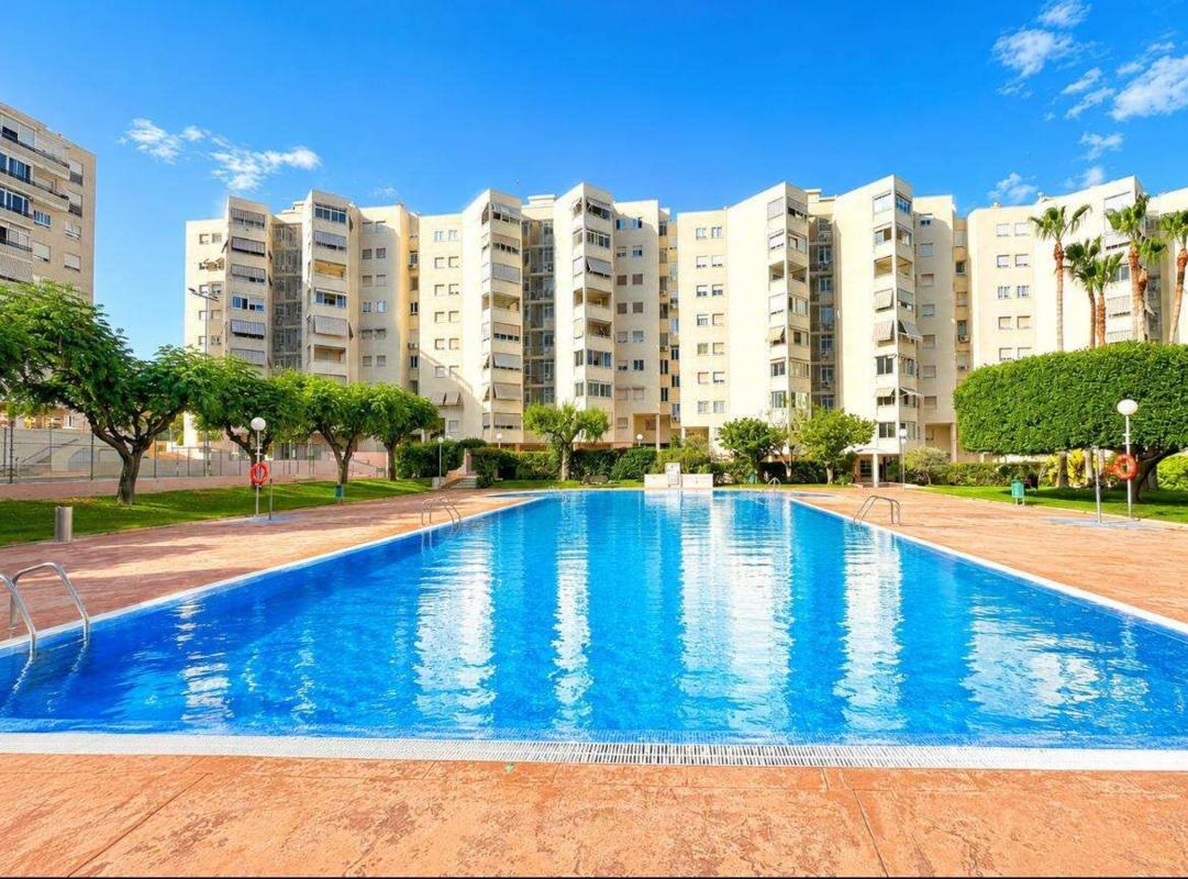 Venta de piso en Piso en Babel, Alicante / Alacant, Alicante / Alacant
photo 1