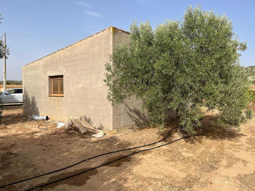 Продажа загородного участка в Finca rústica en Salinas , Салинас photo 5