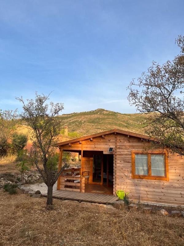 Продажа отдельного шале в Casa o chalet independiente en Camino Fondo Baro, 1 b, Jalón, Халон photo 2