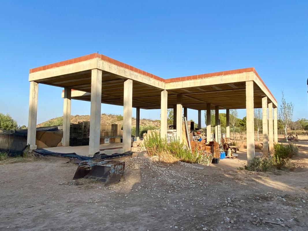 Sale of rural property in Finca rústica en Paraje Cucuch s/n, Novelda , Novelda photo 3